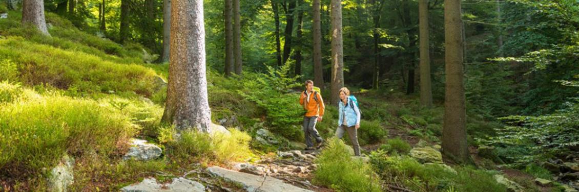 Wandelen - Activiteiten